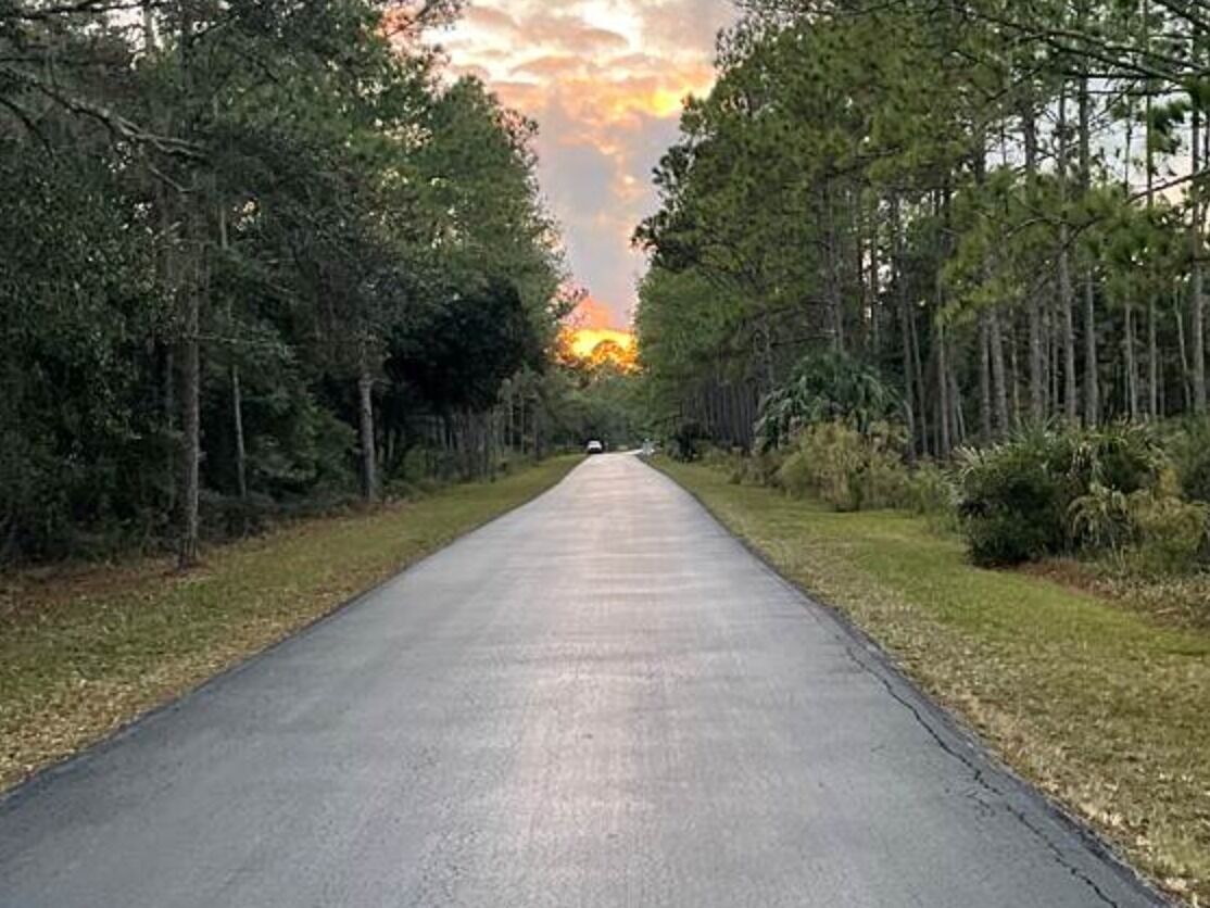Picture of Flatwoods Park - Bruce B Downs Entrance