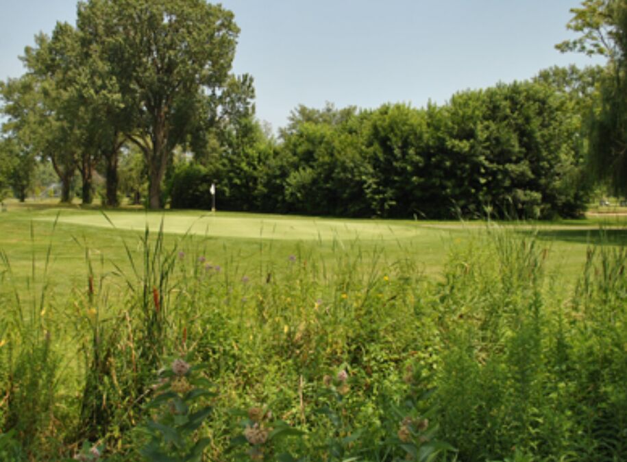 Picture of Wicker Memorial Park 