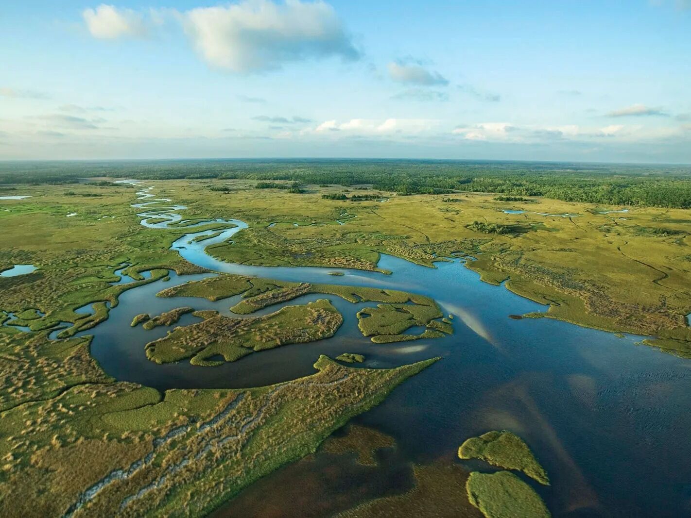 Picture of Everglades National Park