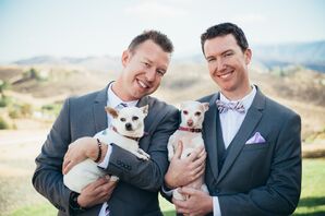 Tim and Jonah Chihuahua Dogs