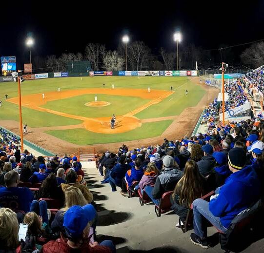 Picture of Boise Hawks Baseball Game