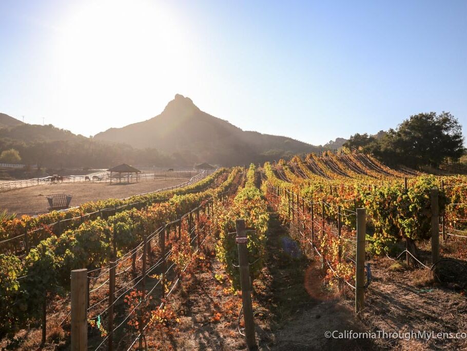 Picture of Malibu Wine Hikes