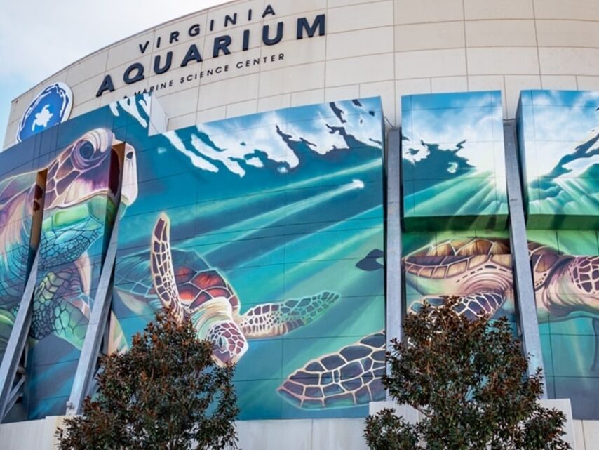Picture of Virginia Aquarium & Marine Science Center