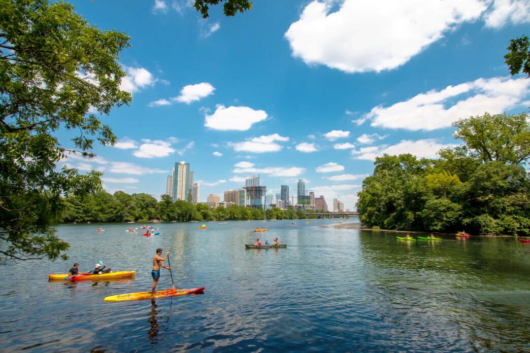 Picture of Paddleboard On Lady Bird Lake