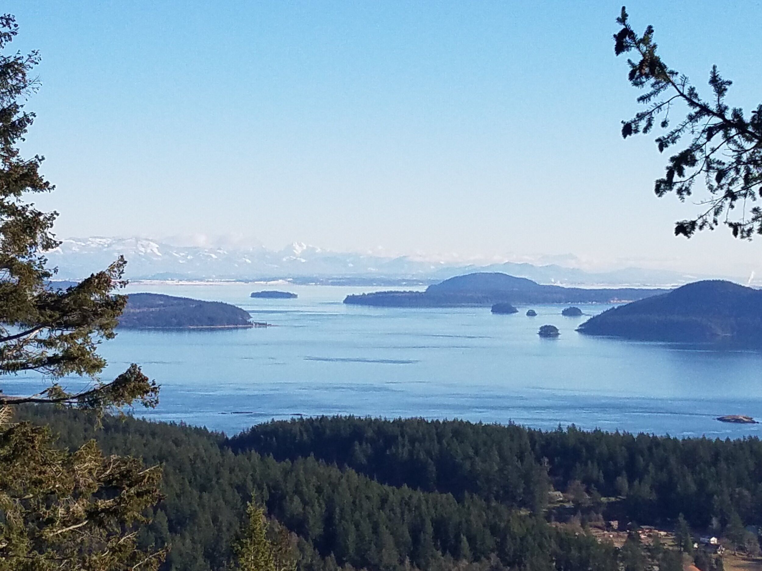 Picture of Orcas Island Ferry Terminal