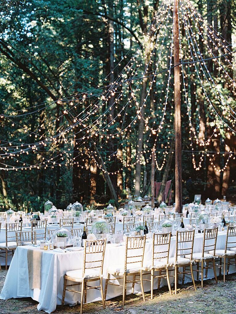 Canopy of string lights above outdoor wedding reception