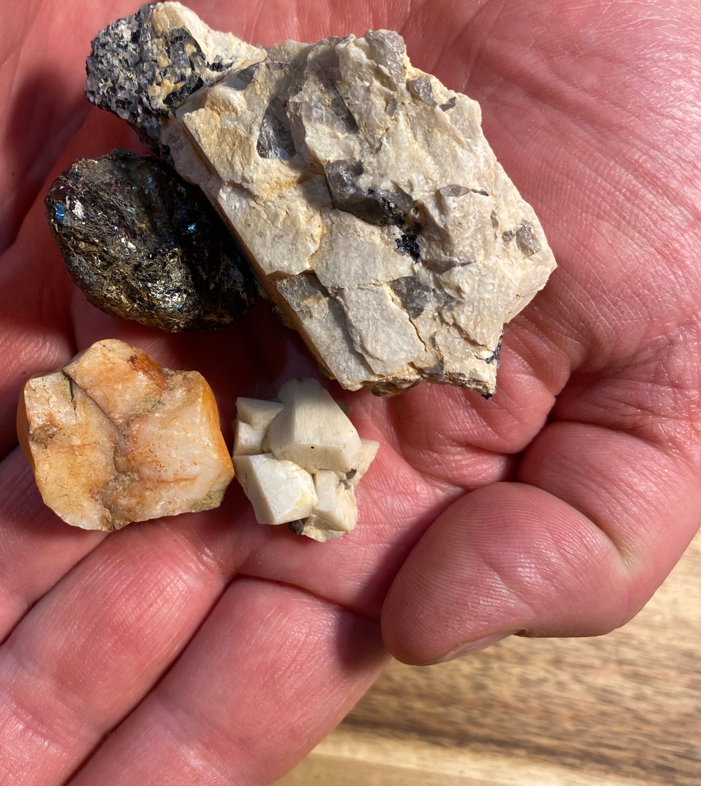 Picture of Rockhounding