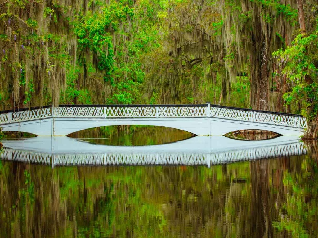 Picture of Magnolia Plantation and Gardens