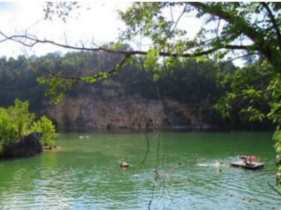 Picture of Ijams Nature Center