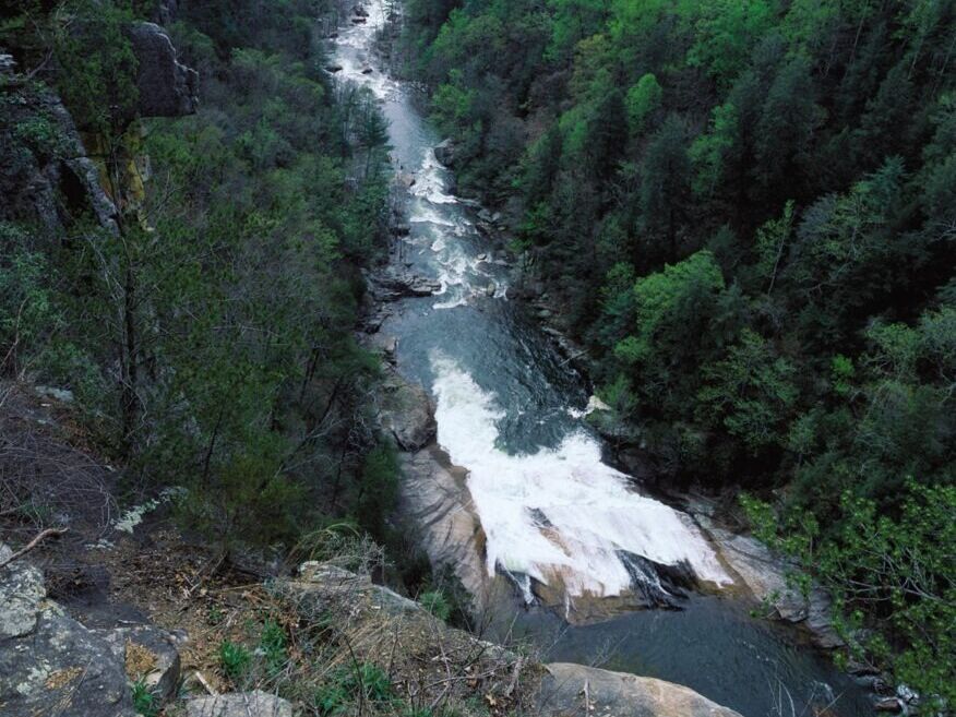 Picture of Tallulah Gorge State Park