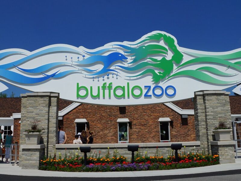 Picture of The Buffalo Zoo