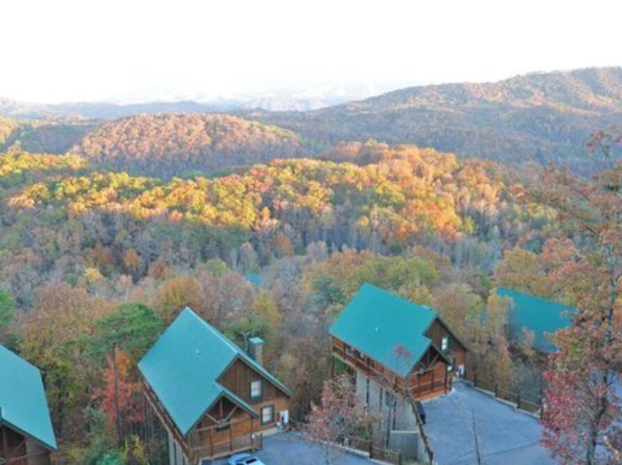 Picture of Sherwood Forest Resort