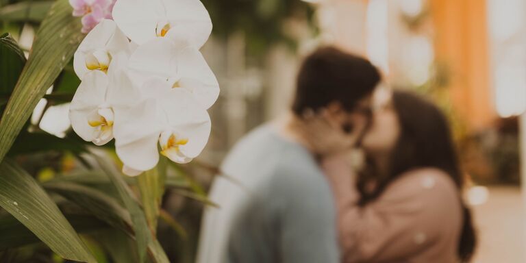 Cat & Jesse Home Page Banner