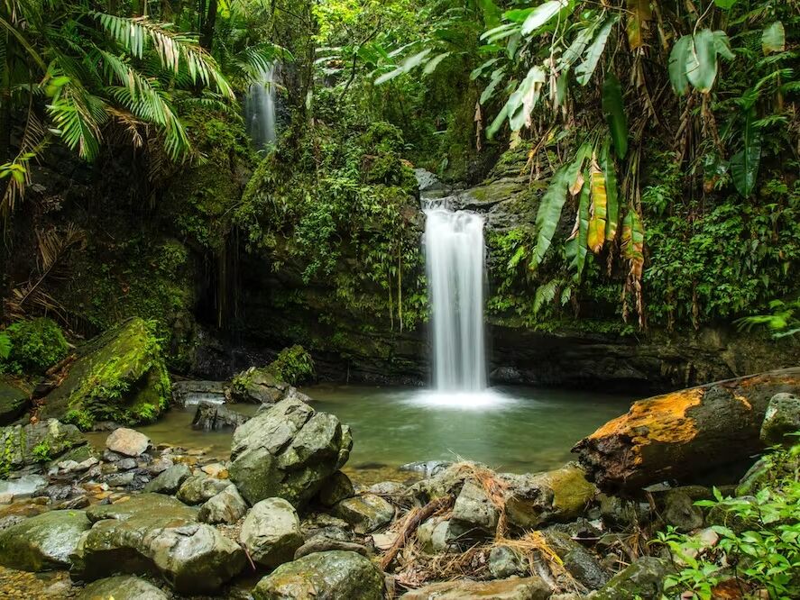 Picture of El Yunque National Forest