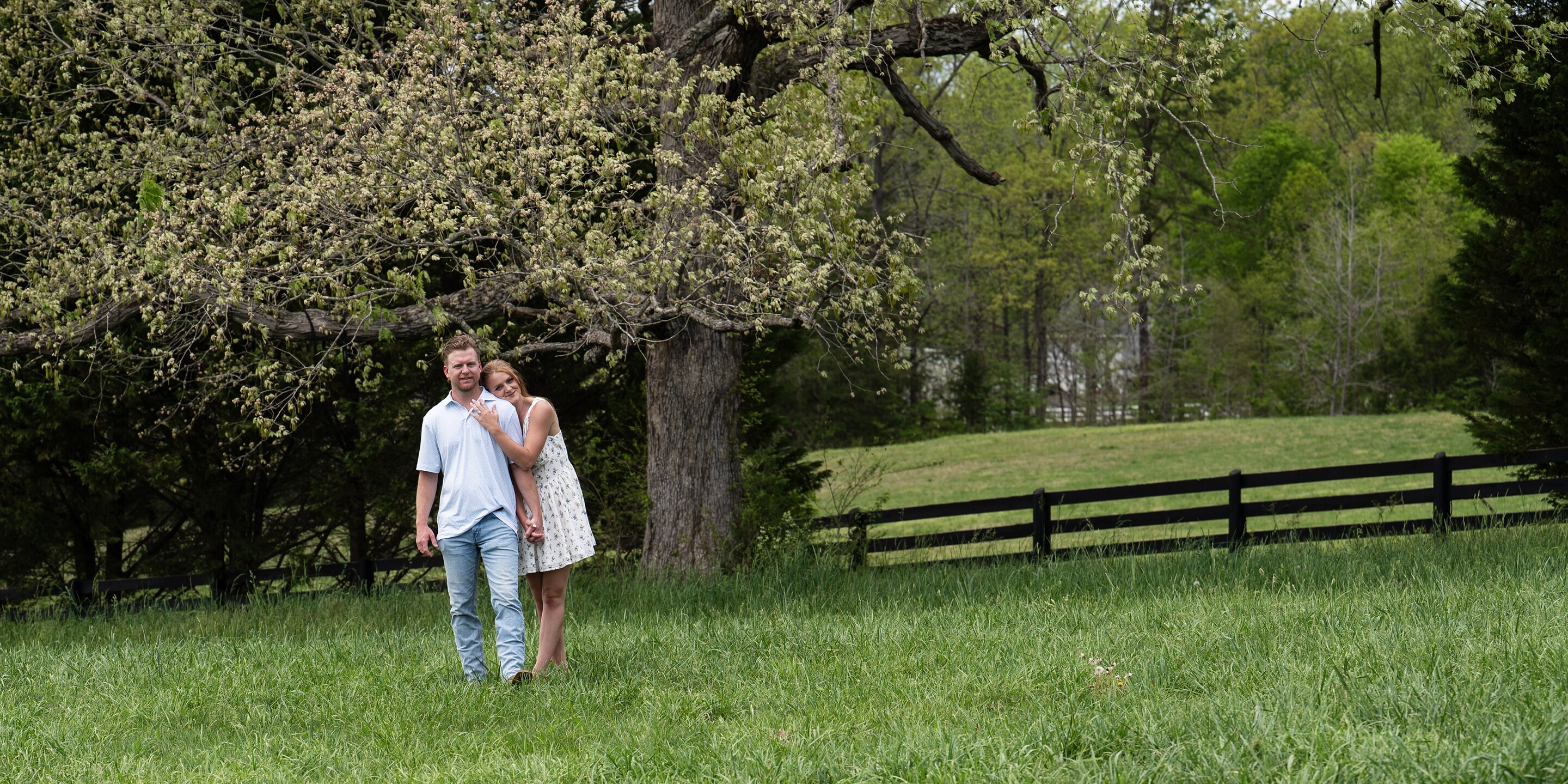 Haley & Lance Home Page Banner