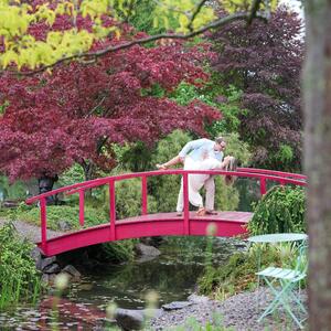 Gallery Photo 42