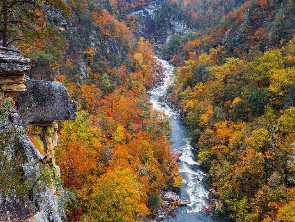 Picture of Tallulah Gorge State Park