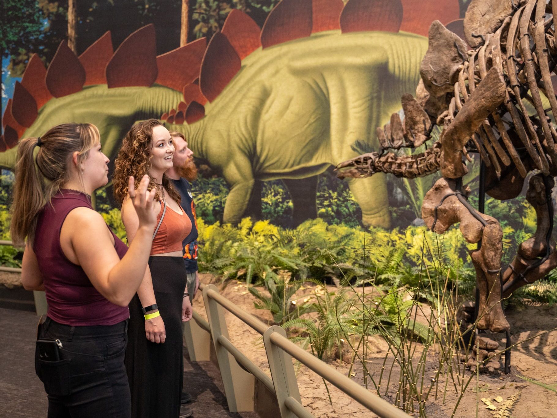 Picture of Carnegie Museum of Natural History