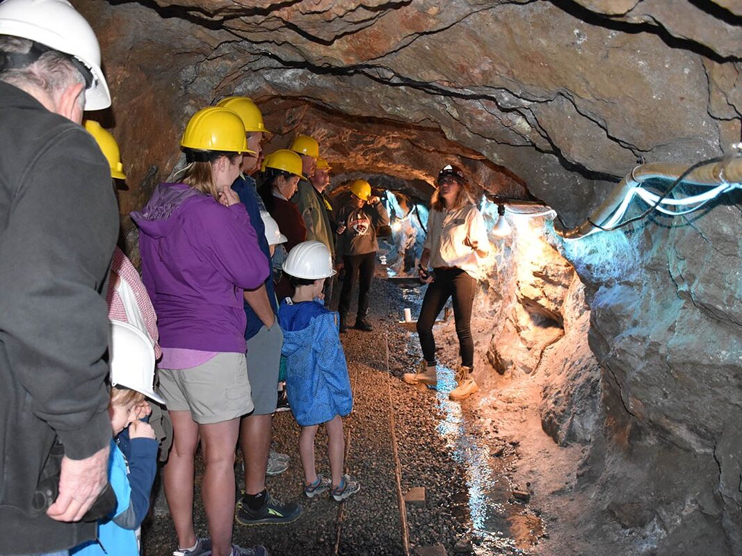 Picture of Phoenix Gold Mine