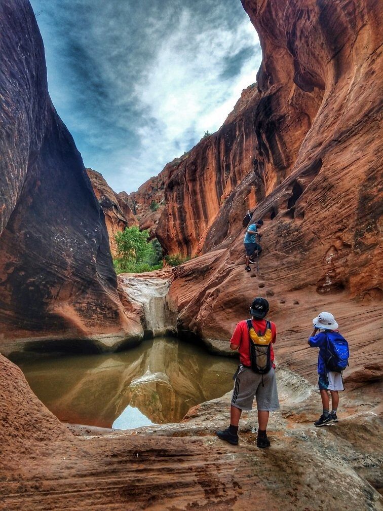 Picture of Red Cliffs National Conservation Area