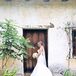 Allure Bridal Lace Mermaid Gown