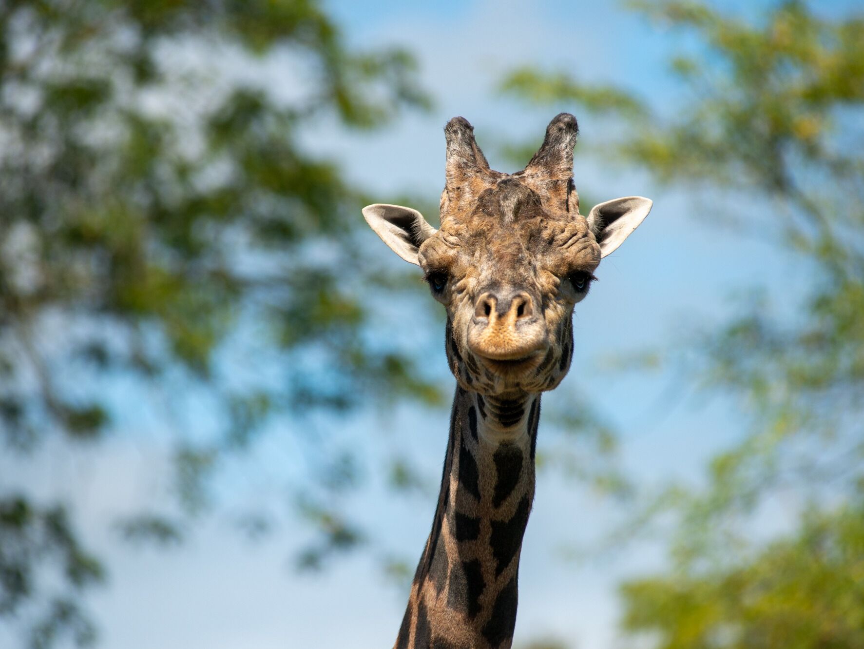 Picture of Pittsburgh Zoo