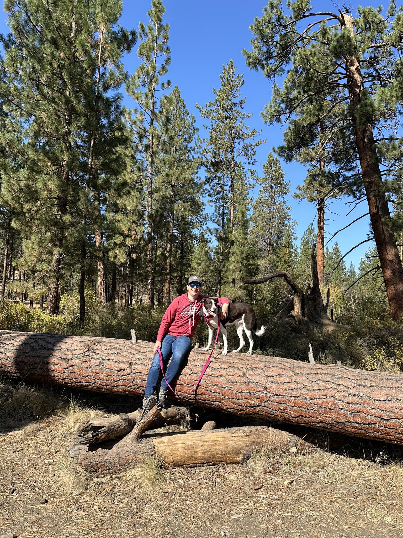 Picture of Shevlin Park