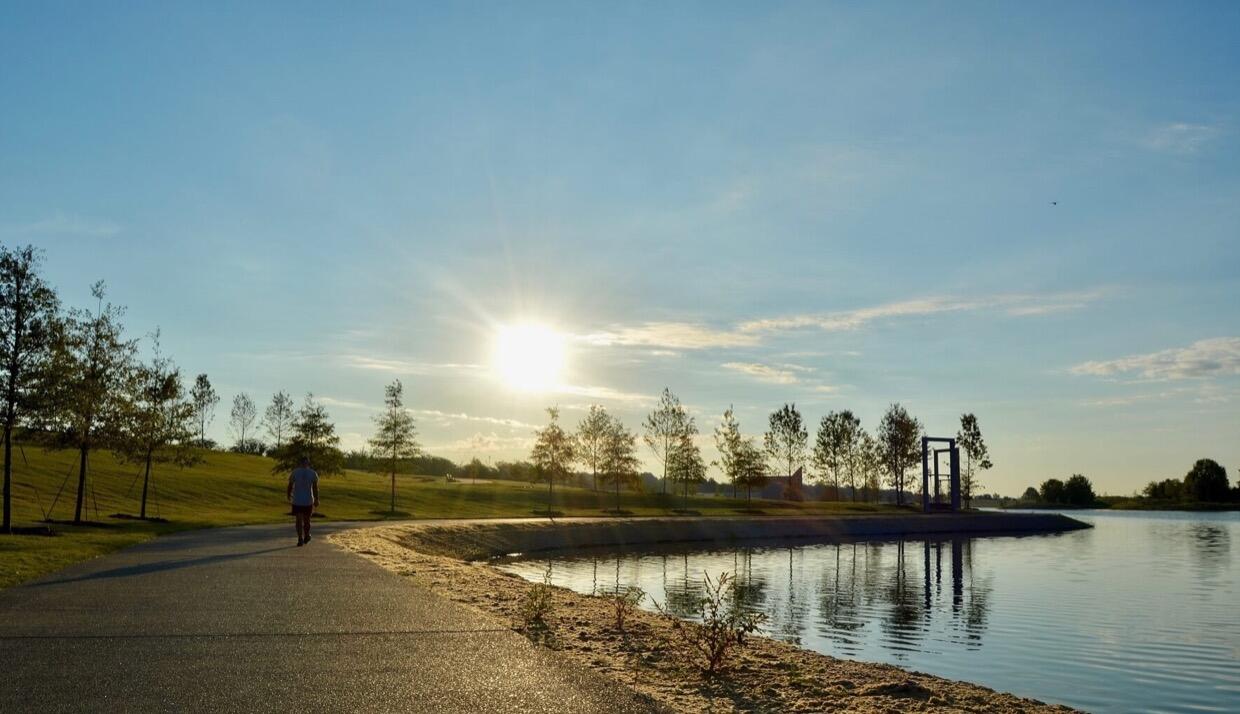 Picture of Shelby Farms Park