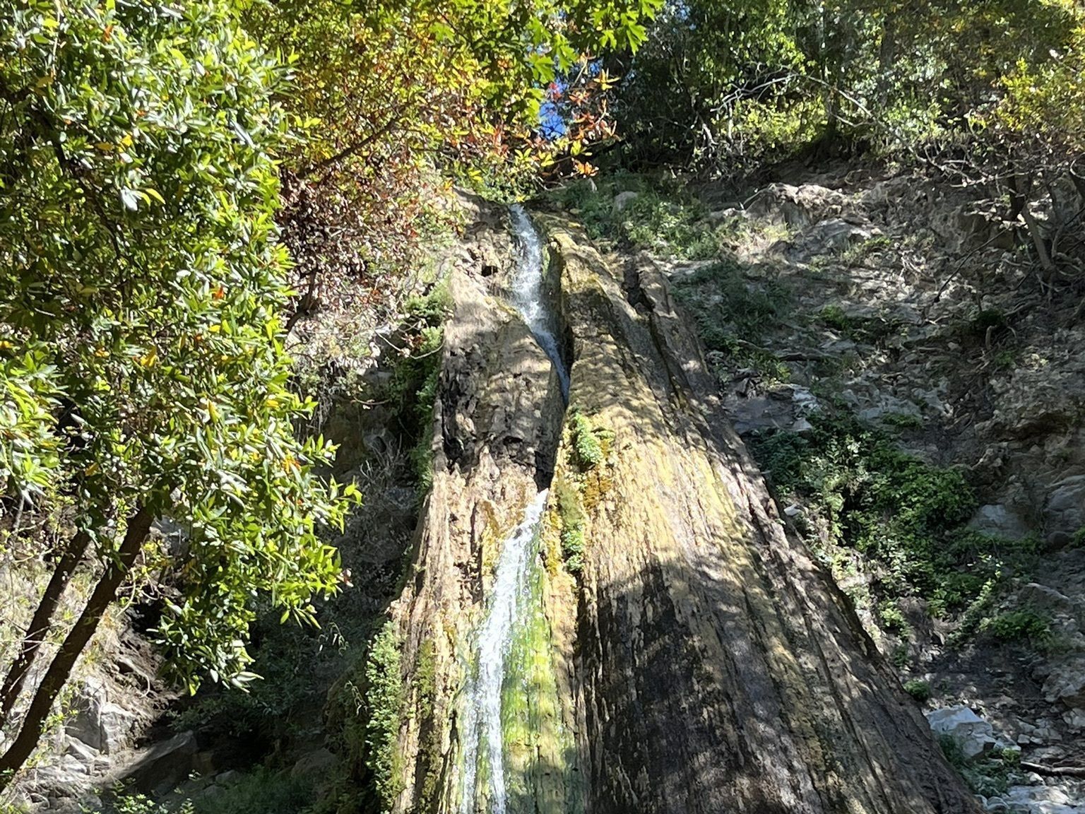 Picture of Nojoqui Falls Park