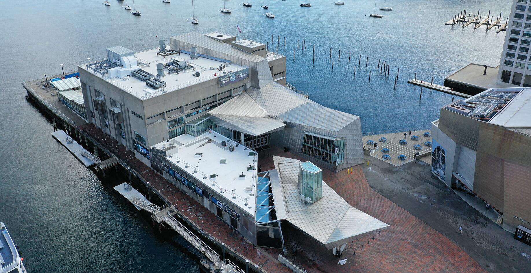 Picture of New England Aquarium