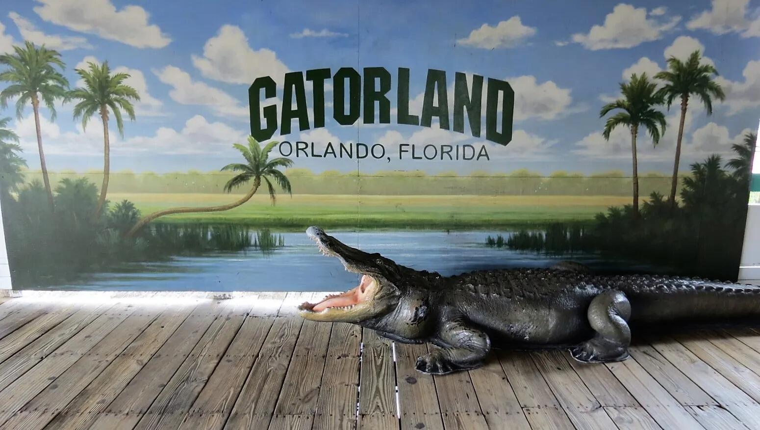 Picture of Gatorland