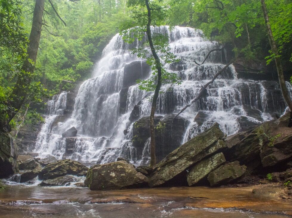 Picture of Yellow Branch Falls Trail