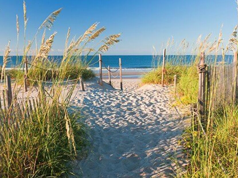 Picture of Charleston Beaches