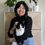 Chris Bui