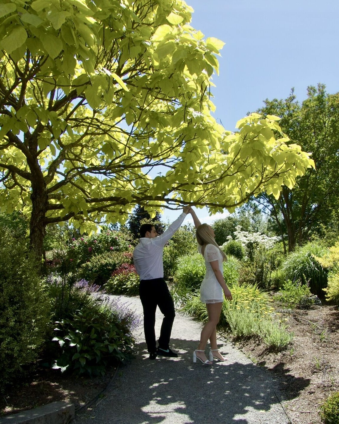 Lily & Jake Home Page Banner
