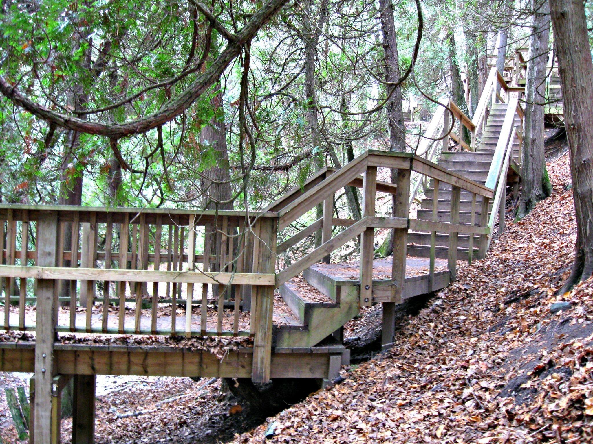 Picture of Lion's Den Gorge Nature Preserve