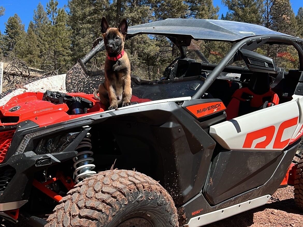 Picture of Rocky Mountain Adventure Rentals: Buena Vista