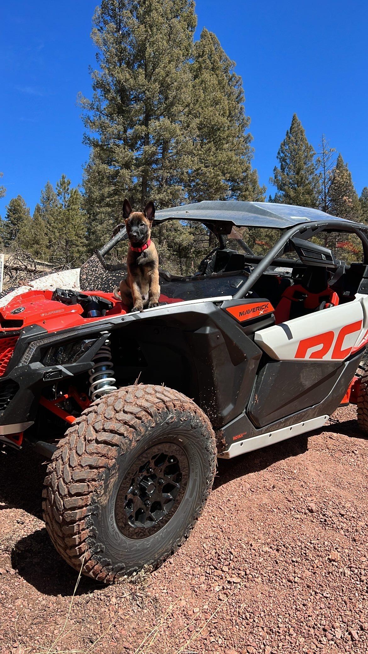 Picture of Rocky Mountain Adventure Rentals: Buena Vista