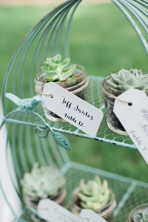 Miniature Succulent Escort Cards