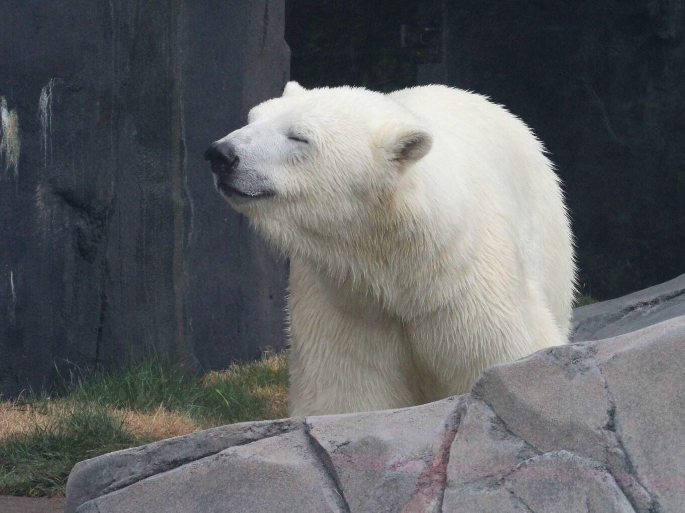 Picture of Saint Louis Zoo