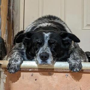 Gallery Photo 29