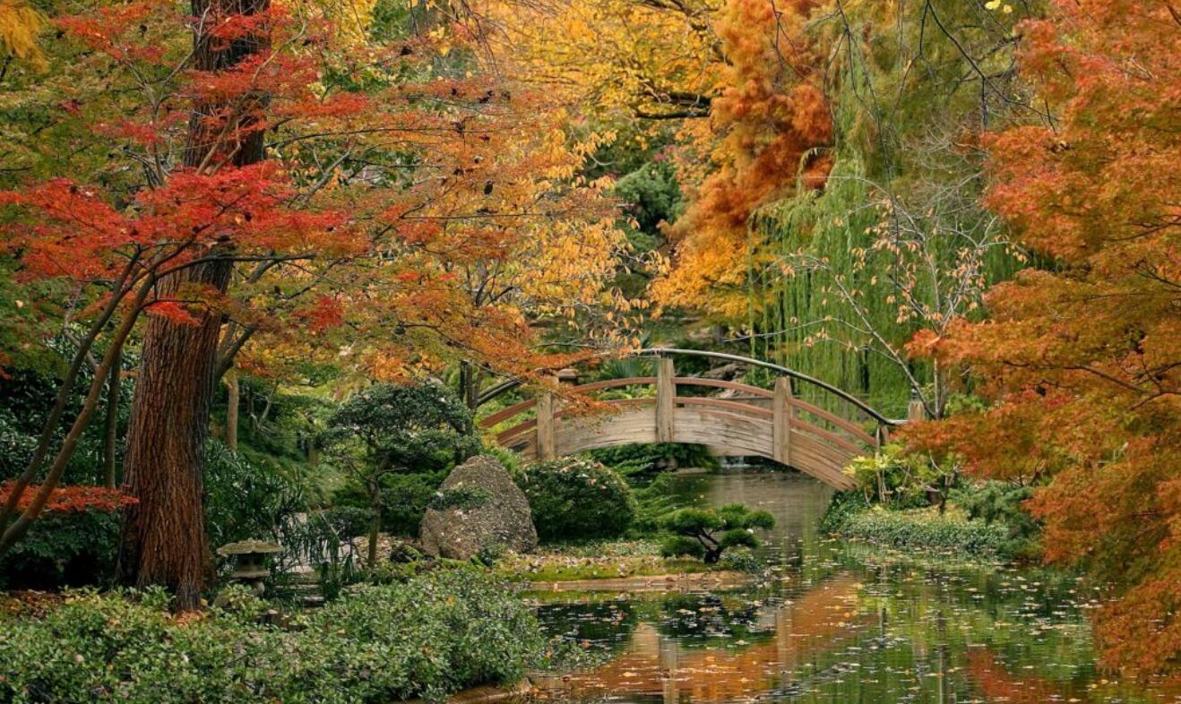 Picture of Fort Worth Botanic Garden