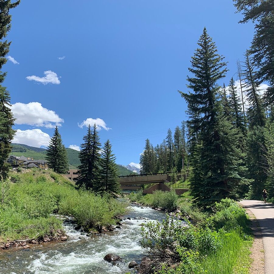 Picture of Nature Tranquility 