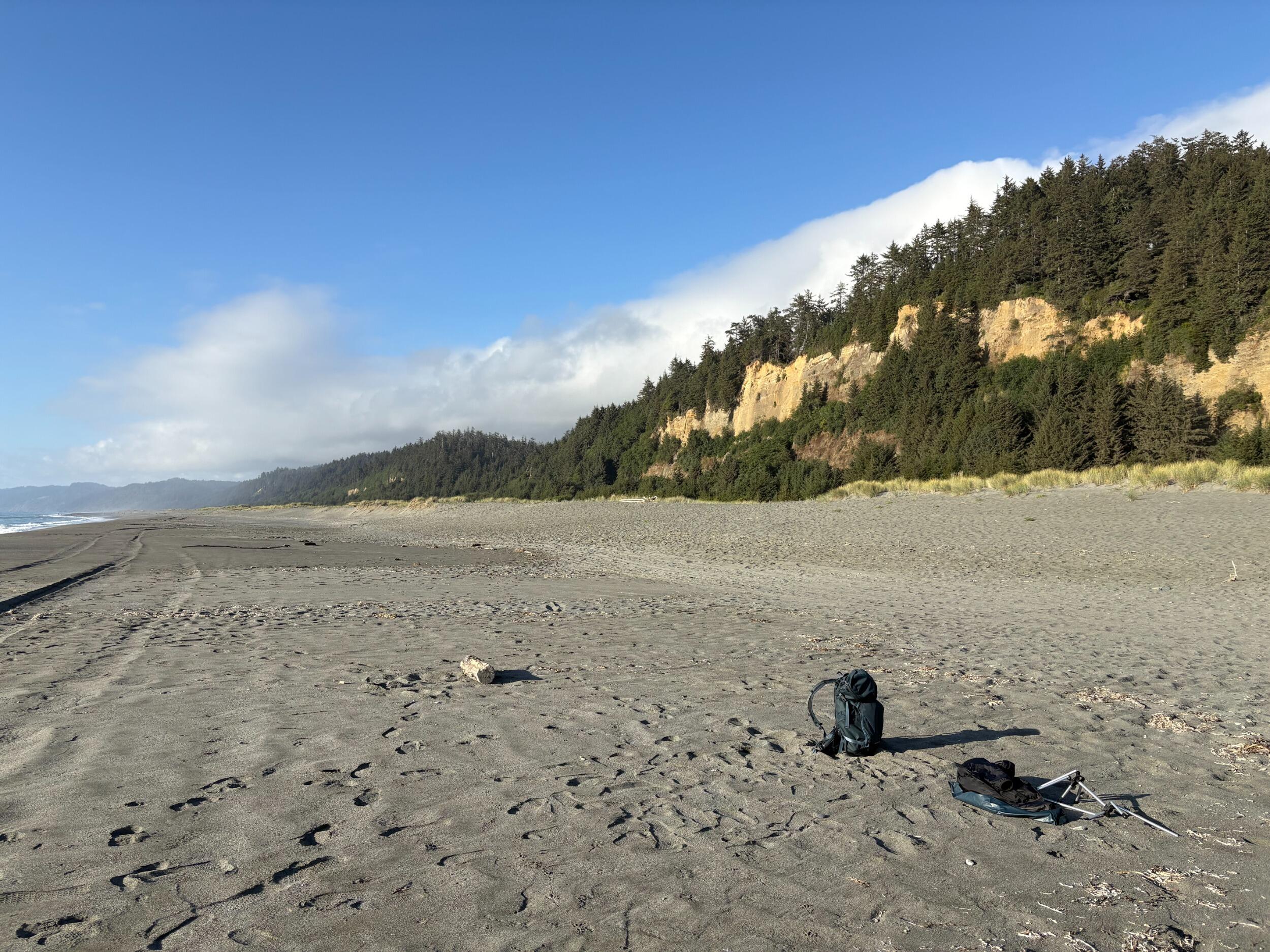 Redwoods NP, California - 
The site of the proposal
