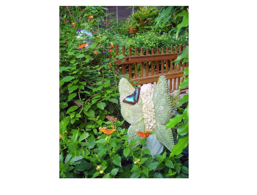Picture of Magic Wings Butterfly Conservatory