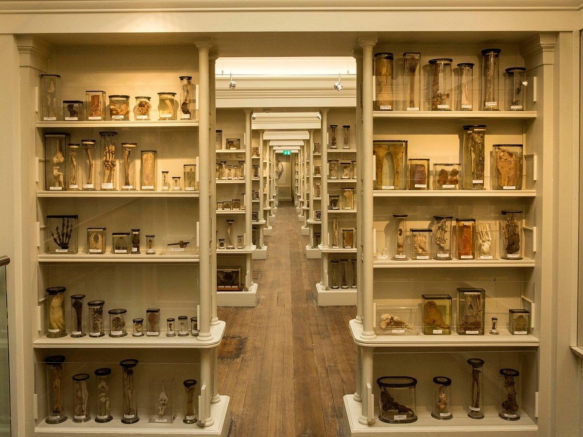 Picture of Thursday, July 24: Surgeons hall museum and Edinburgh tour