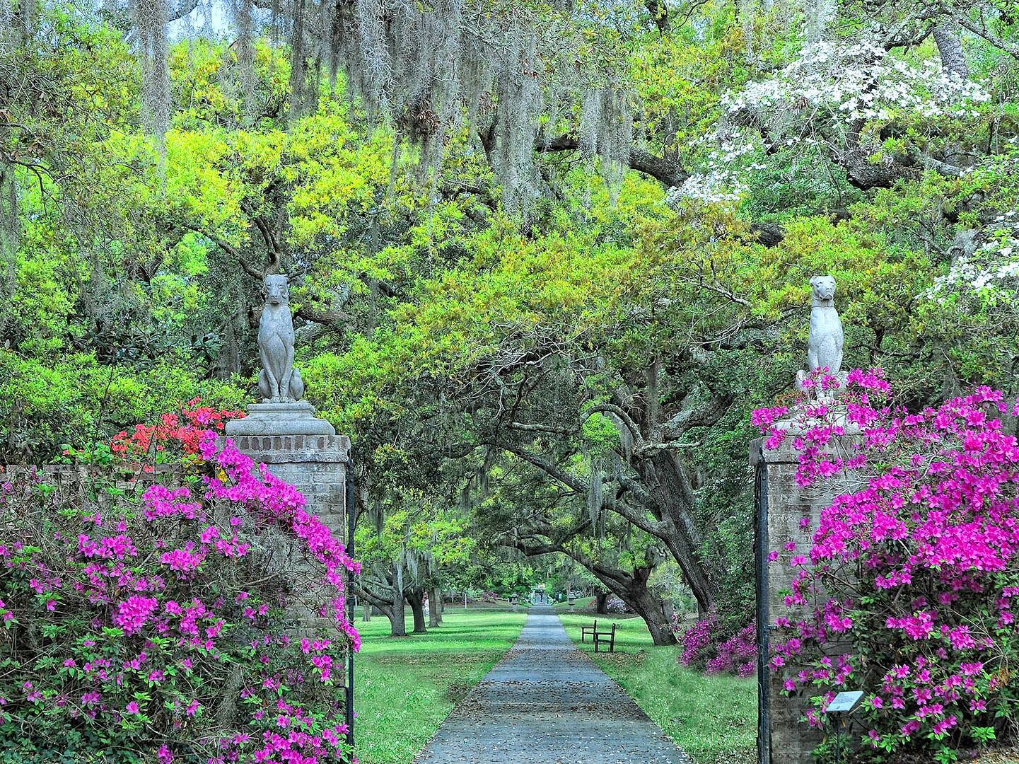 Picture of Brookgreen Gardens