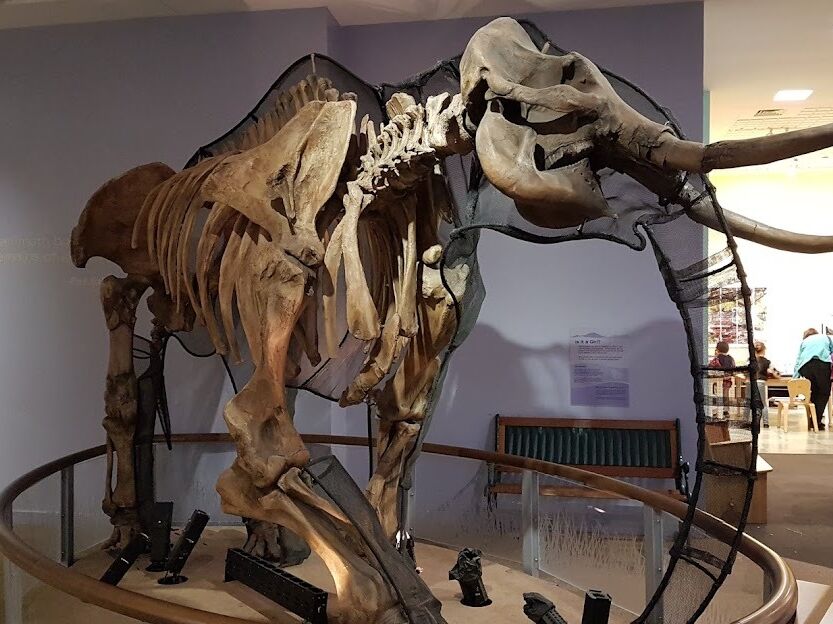 Picture of Children's Discovery Museum of San Jose