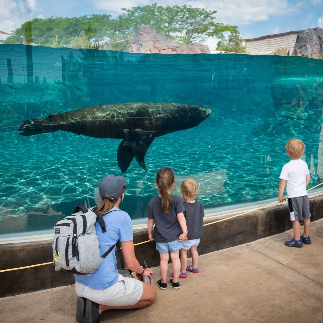 Picture of Columbus Zoo and Aquarium