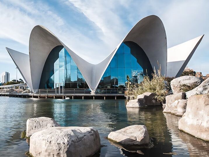 Picture of Oceanogràfic València